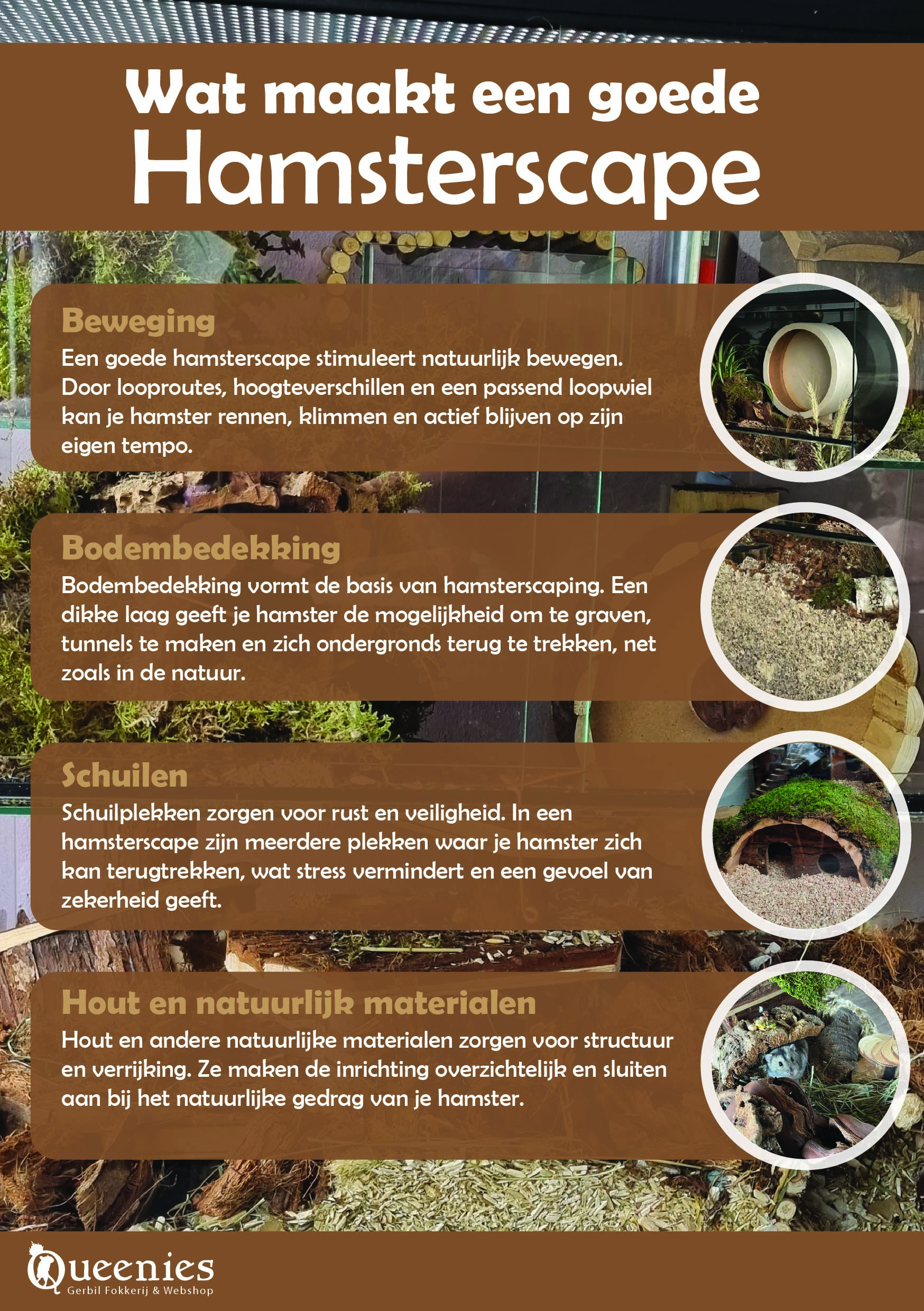 Uitleg over maken van een hamsterscape